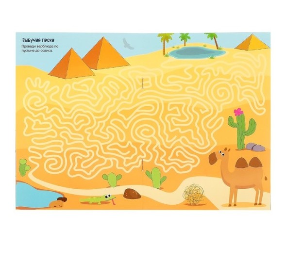 Многоразовая книжка с заданиями «Напиши и сотри. Лабиринты и путаницы», 12 стр.