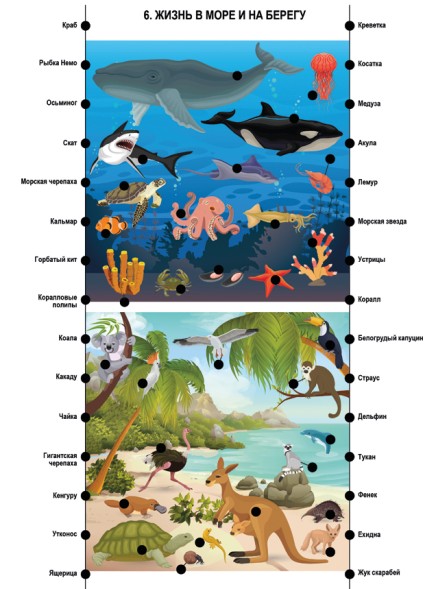 Игра настольная Электровикторина «Размышляй-ка»