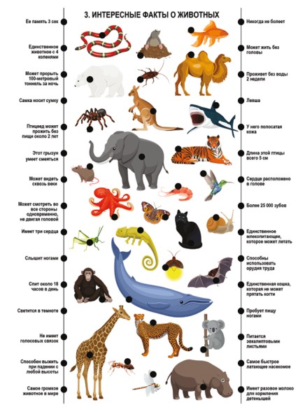 Игра настольная Электровикторина «Размышляй-ка»