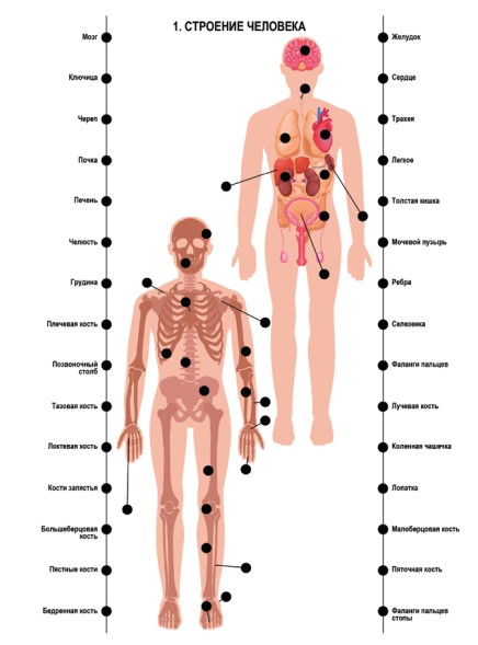 Игра настольная Электровикторина «Размышляй-ка»