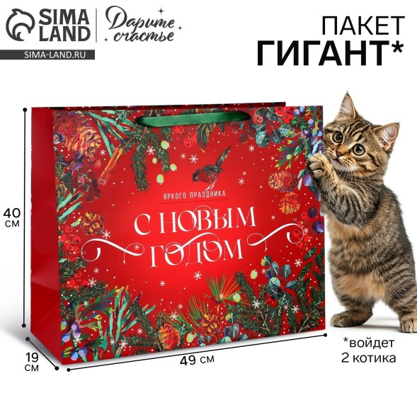 Пакет подарочный новогодний ламинированный «Новогодняя сказка», XL 49 х 40 х 19 см, Новый год
