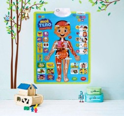 Обучающий плакат «Изучаем анатомию: Моё тело»