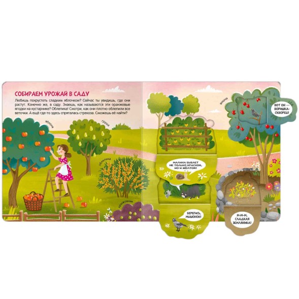 В деревне. Книжки с окошками