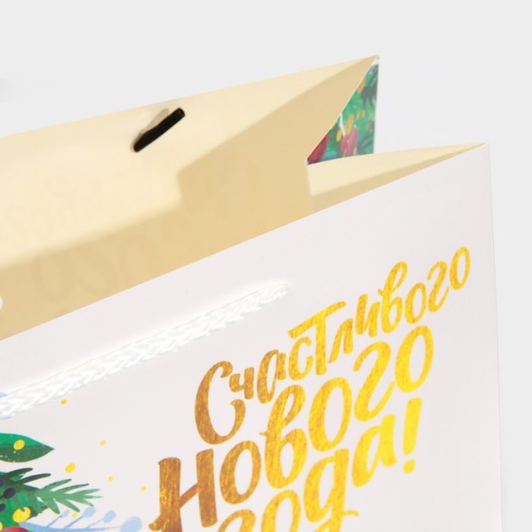 Пакет подарочный «Звезда», 30 × 23 × 10 см