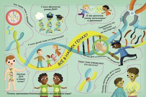 Волшебные окошки. Откуда берутся дети?