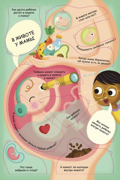 Волшебные окошки. Откуда берутся дети?