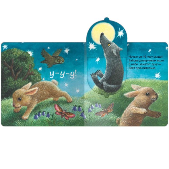 В лесу. Книжки с окошками