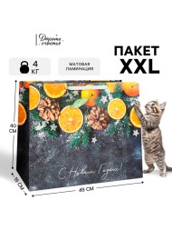 Пакет подарочный новогодний ламинированный «С Новым годом», XL 49×40×19 см