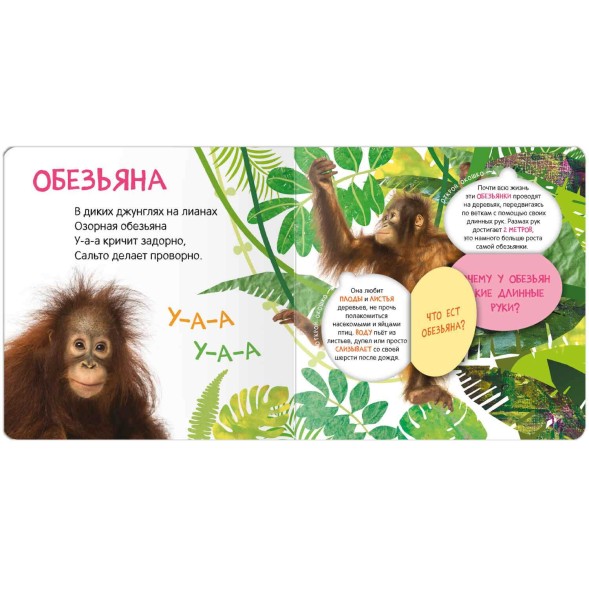 Кто где живет? Книжки с окошками