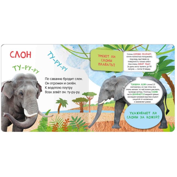 Кто где живет? Книжки с окошками