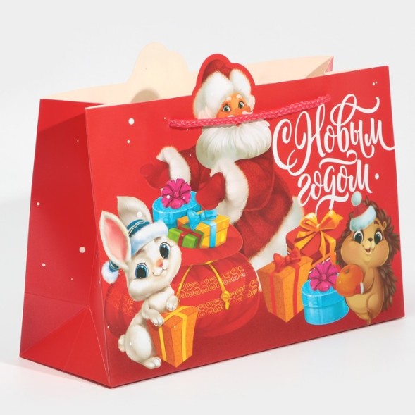 Пакет подарочный «Друзья», 30 × 23 × 10 см