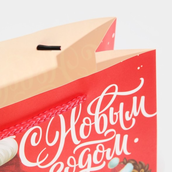 Пакет подарочный «Друзья», 30 × 23 × 10 см