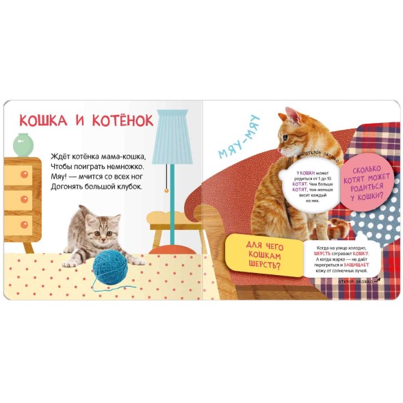 Мамы и малыши. Книжки с окошками