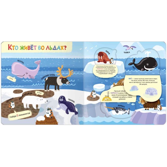 Мир животных. Книжки с окошками