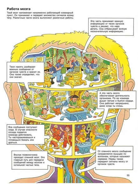 Детская энциклопедия "РОСМЭН"