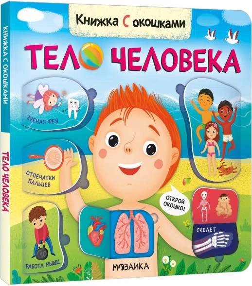 Тело человека. Книжки с окошками