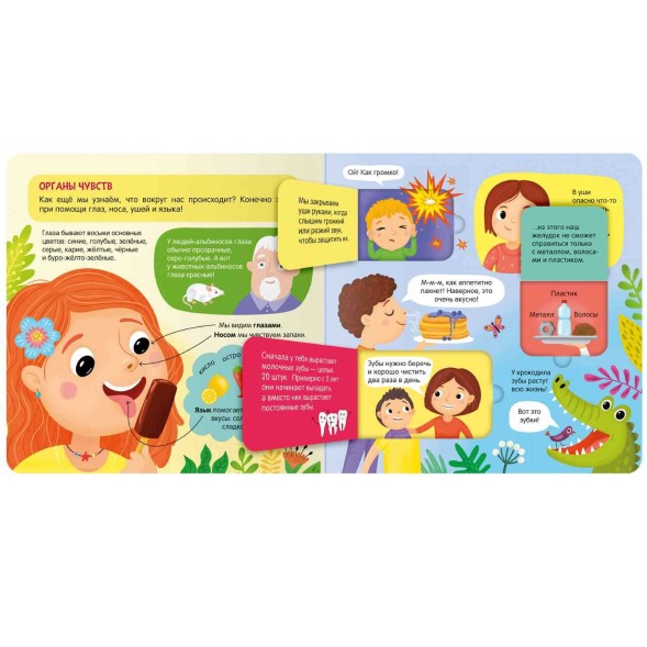 Тело человека. Книжки с окошками