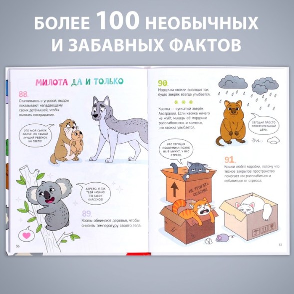 Энциклопедия в твёрдом переплёте &quot;Забавные факты о животных&quot;, 48 стр.