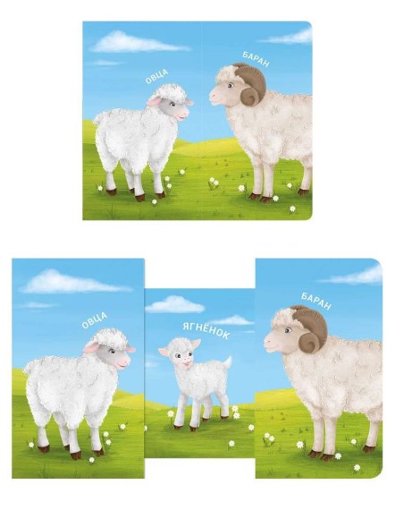 Книжки-задвижки. Мама, папа, малыш. Домашние животные. Робинс