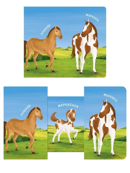 Книжки-задвижки. Мама, папа, малыш. Домашние животные. Робинс