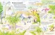 Открой тайны динозавров. Книга с окошками. Робинс