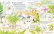 Открой тайны динозавров. Книга с окошками. Робинс