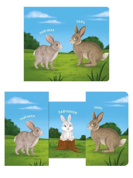 Книжки-задвижки. Мама, папа, малыш. Дикие животные. Робинс