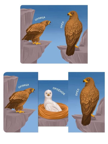 Книжки-задвижки. Мама, папа, малыш. Дикие животные. Робинс