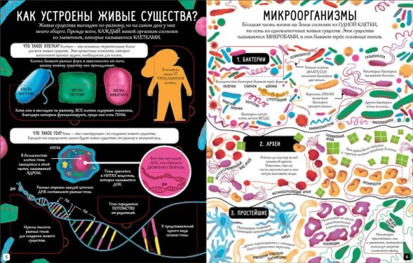 Открой тайны. Биология. Книга с окошками