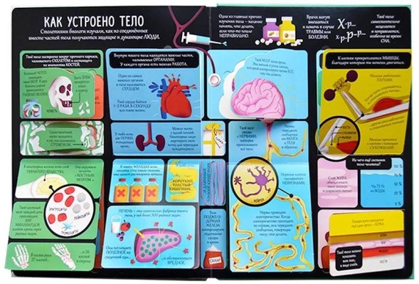 Открой тайны. Биология. Книга с окошками