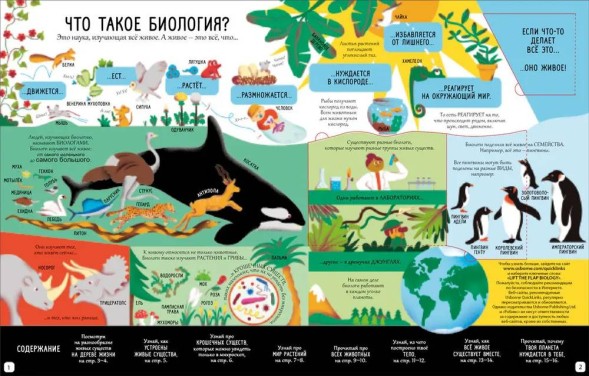 Открой тайны. Биология. Книга с окошками