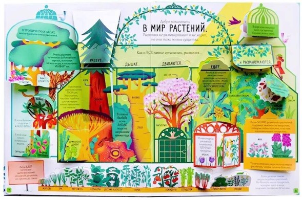 Открой тайны. Биология. Книга с окошками