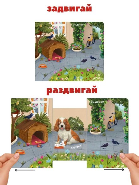 Книжки-задвижки. Кто где живёт? Робинс