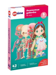 3Д обучающие пазлы для детей Анатомия девочки