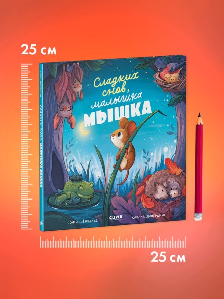 Книжки-картинки. Сладких снов, малышка мышка!