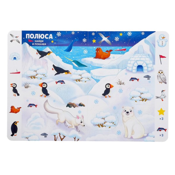 Книга картонная с окошками «Найди, открой, покажи!» 10 стр.