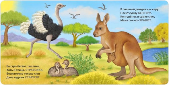 Книжки - картонки. Загадки - рифмы. Мамы и малыши. Дикие животные