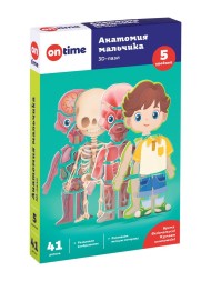 3Д обучающие пазлы для детей Анатомия мальчика