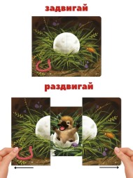 Книжки-задвижки. Кто там внутри?