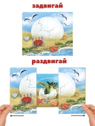 Книжки-задвижки. Кто там внутри?