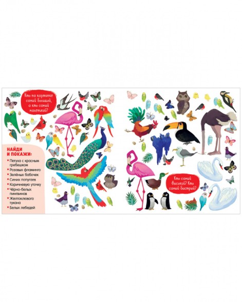 Найди и покажи для девчонок, 24 стр