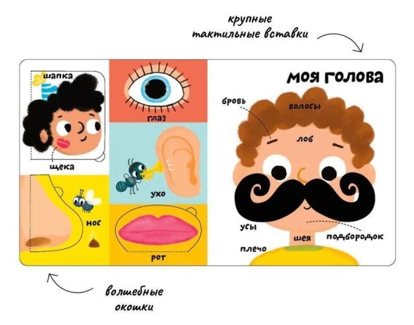 Мои первые 100 слов с окошками. Мое тело (с тактильными вставками)