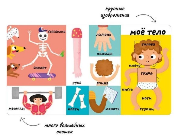 Мои первые 100 слов с окошками. Мое тело (с тактильными вставками)