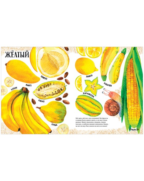 Приключения улитки Элли в мире фруктов и овощей