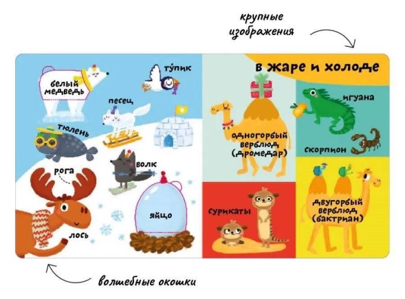 Мои первые 100 слов с окошками. Такие разные животные (с тактильными вставками)