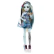 Кукла Monster High Day Out Frankie