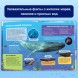 Энциклопедия в твёрдом переплёте «Подводный мир», 48 стр.