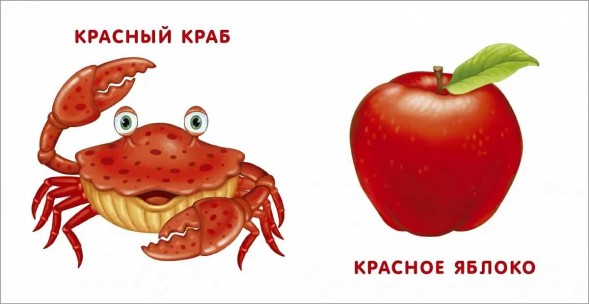 Книжки - картонки. Мои первые цвета