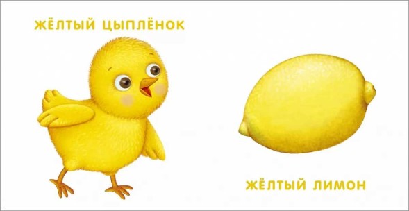 Книжки - картонки. Мои первые цвета