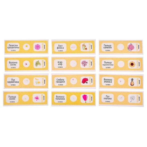 Набор для опытов «Набор микропрепаратов», цветы